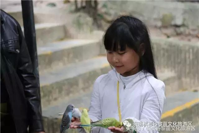 鸡年第一个流行语横空出世,鸡年第一个流行话