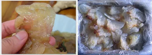 秦皇岛海鲜吃到爽,秦皇岛海港区吃海鲜靠谱便宜