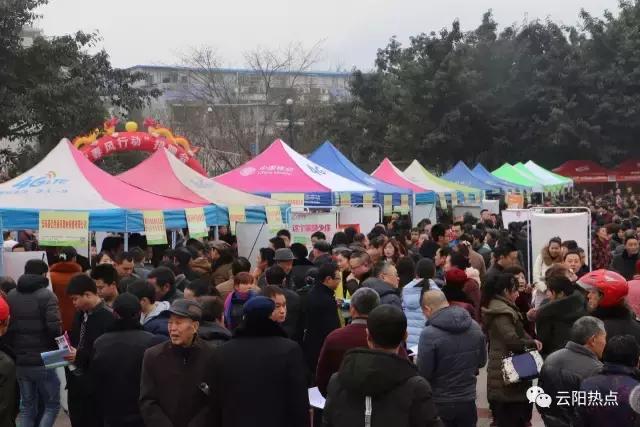 云阳公益性岗位招聘,云阳县2024年人才引进