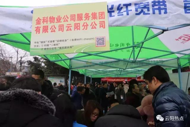 云阳公益性岗位招聘,云阳县2024年人才引进