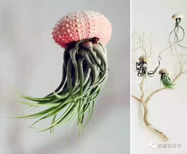 瀹ゅ唴鍒涙剰缁挎,瀹ゅ唴缁挎鏅閫犲瀷璁捐