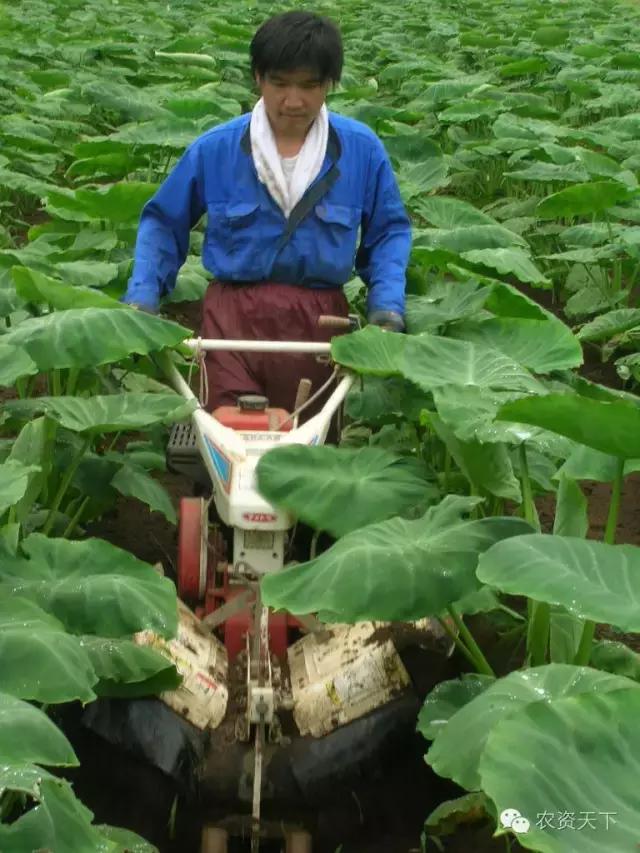 日本:一家一户的小农化也能实现机械化