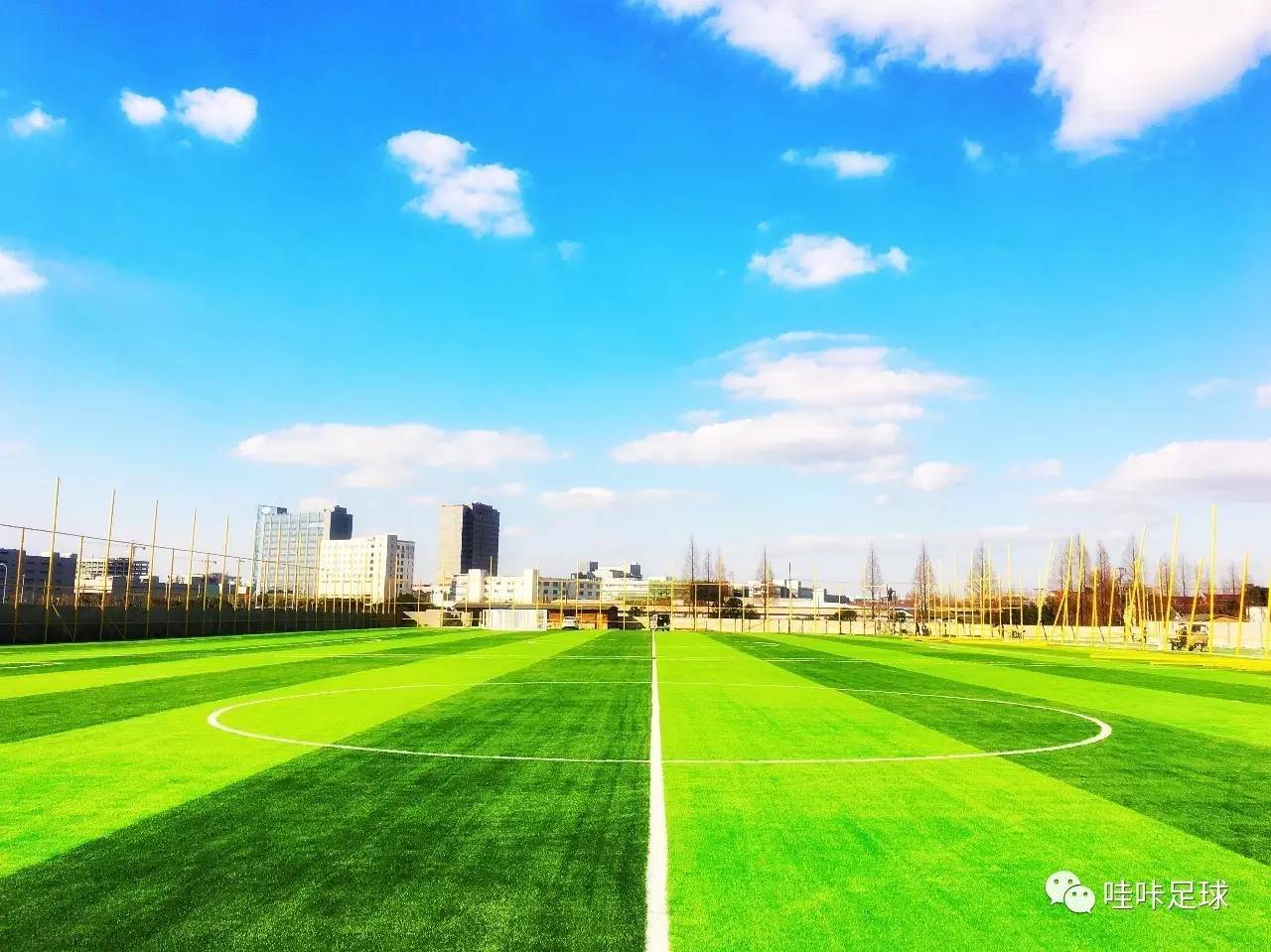 你所不知道的薇尔莉特,最有希望的女子足球队