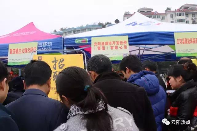 云阳公益性岗位招聘,云阳县2024年人才引进