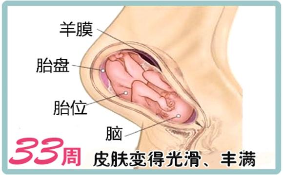 细数从怀孕到分娩期间胎儿胎动的具体含义,孕妈可以对号入座