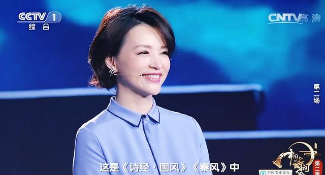 董卿是因为什么走红的,董卿最有影响力事件