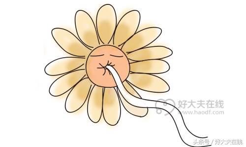 现实中做痔疮手术全过程和流程,做痔疮手术的亲身经历