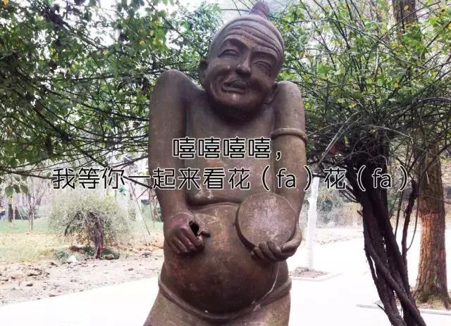 鑺辨捣閲嶇鏉ヨ,鑺辨捣鏉ヨ