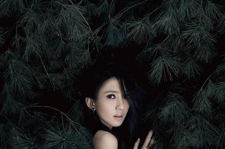 金曲捞戴佩妮说李宗盛,李宗盛和戴佩妮