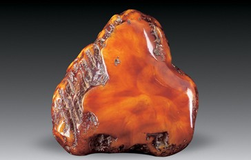 琥珀蜜蜡的形成过程图解,琥珀蜜蜡的形成过程让人感叹