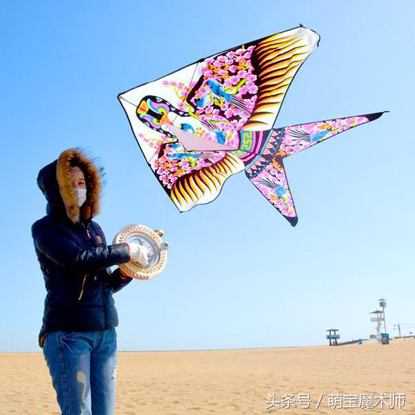 亲子互动家庭旅游,春游亲子游活动