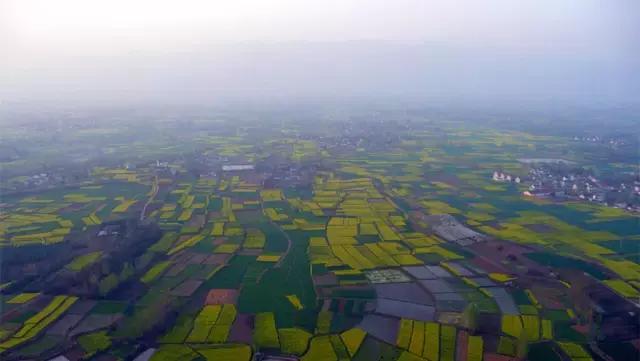 2018汉中油菜花旅游攻略,2024汉中油菜花自驾游攻略