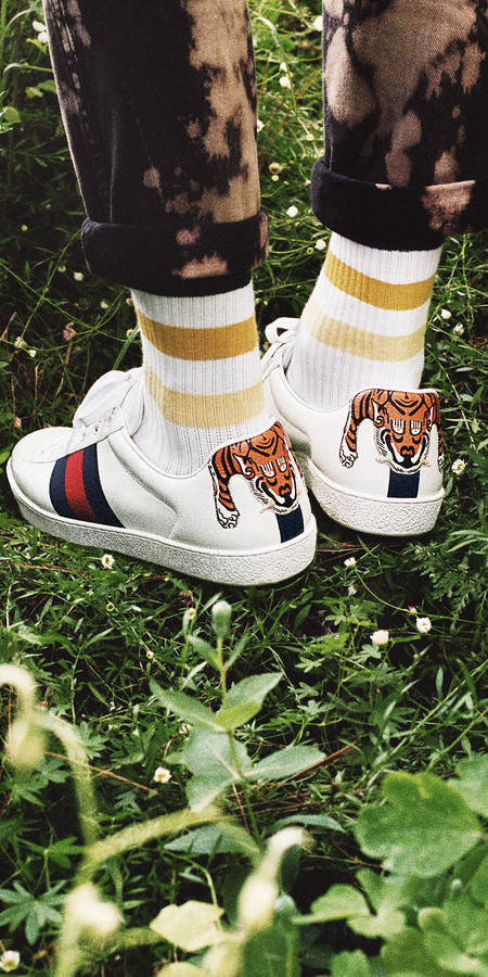 古驰小白鞋哪款最经典,gucci古驰tennis1977系列女士小白鞋