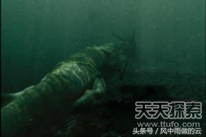 龙存在的证据大全,古代龙真实存在吗