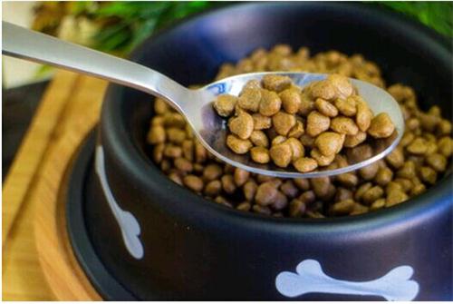 小博美拉稀还带点血怎么办,三个月博美便便总粘毛上咋办