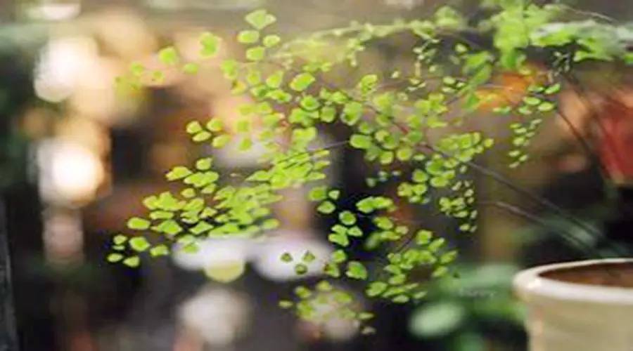 五险一金对比六险两金,七险一金比五险一金好多少