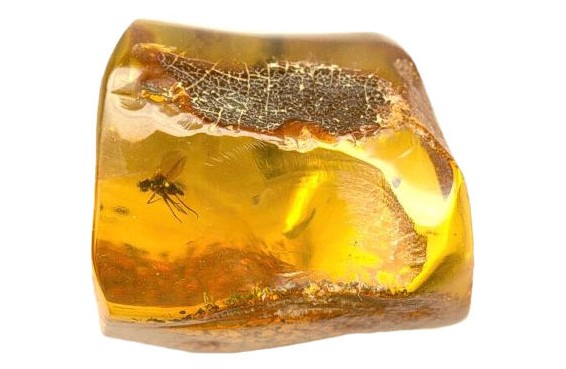 蜜蜡琥珀和老蜜蜡琥珀有什么区别,什么是蜜蜡琥珀的形成
