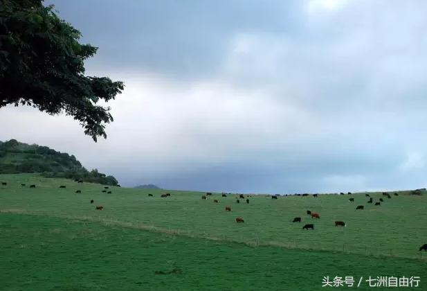 探索天堂,探索天堂揭秘旅游胜地的惊人魅力