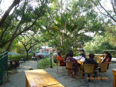 厦门慢生活惬意悠哉,厦门悠闲一日游