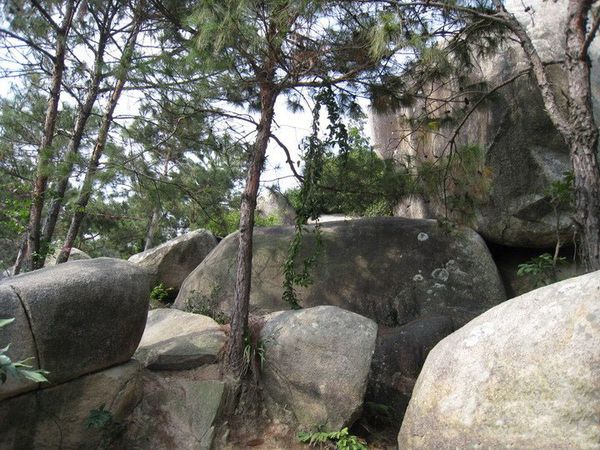 厦门慢节奏攻略,厦门慢生活攻略