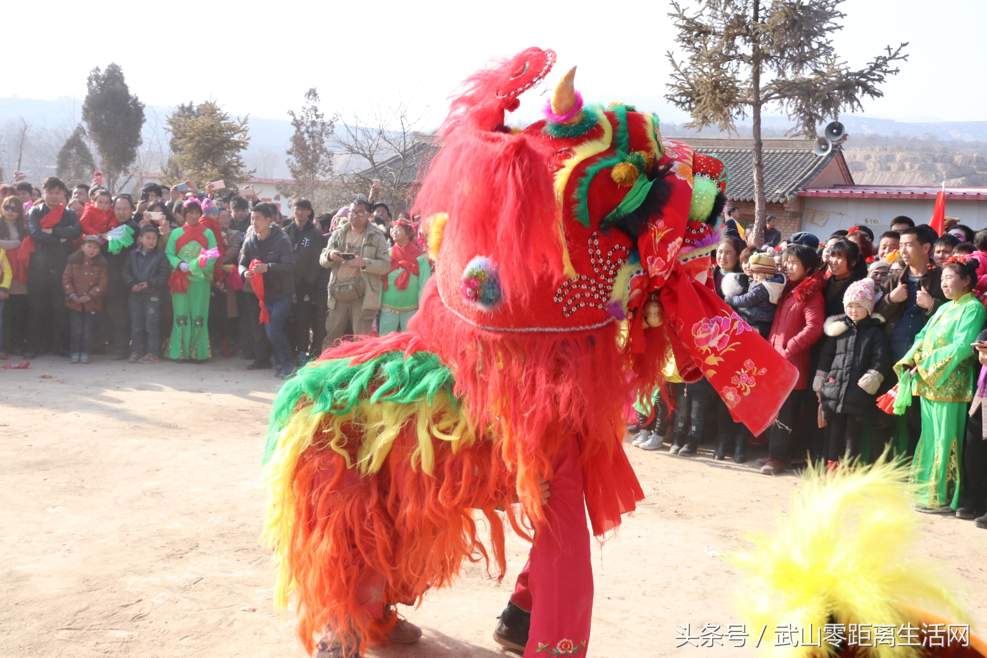 武山秧歌航拍,武山秧歌耍马