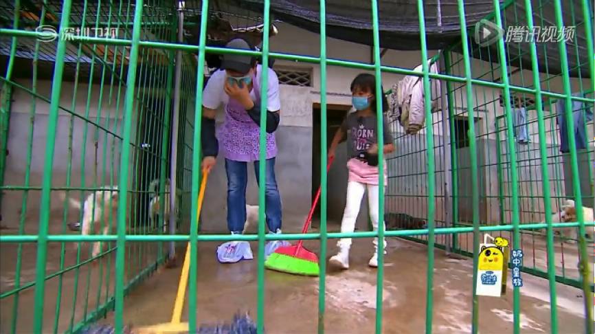 闪亮的爸爸完整版,闪亮的爸爸录制