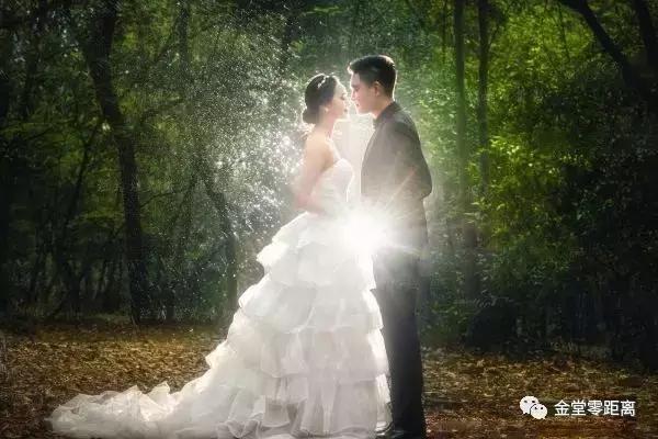 虐狗秀恩爱名场面,虐狗秀恩爱高甜视频