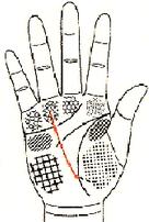 五观堂讲解手相,手相宝库第四讲