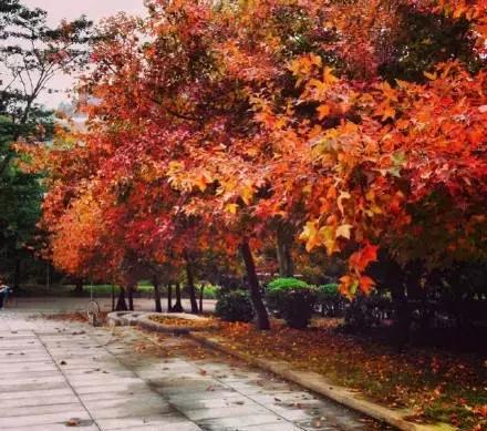 珠海走走逛逛,珠海吃喝玩乐游玩攻略