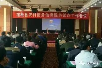 安徽凤还巢计划,安徽省凤还巢政策