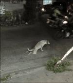 诶哟喂！有点搞笑的嘛！（1）