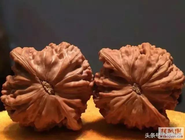 圆润的磨盘狮子头,文玩核桃磨盘狮子头有什么特征