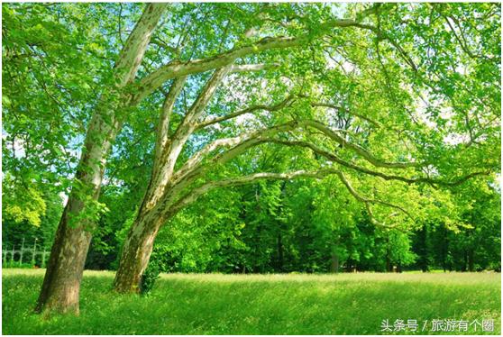 不远行也可以赏美景,不远行也快乐