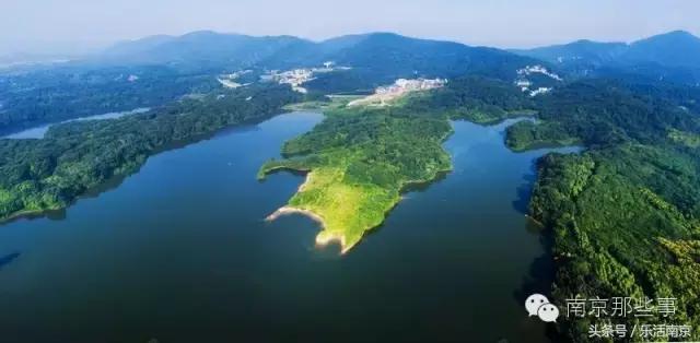 南京踏青赏梅乐享春光,赏梅园