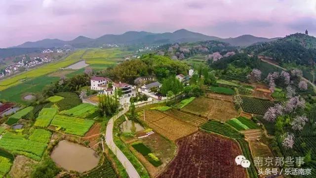 南京踏青赏梅乐享春光,赏梅园