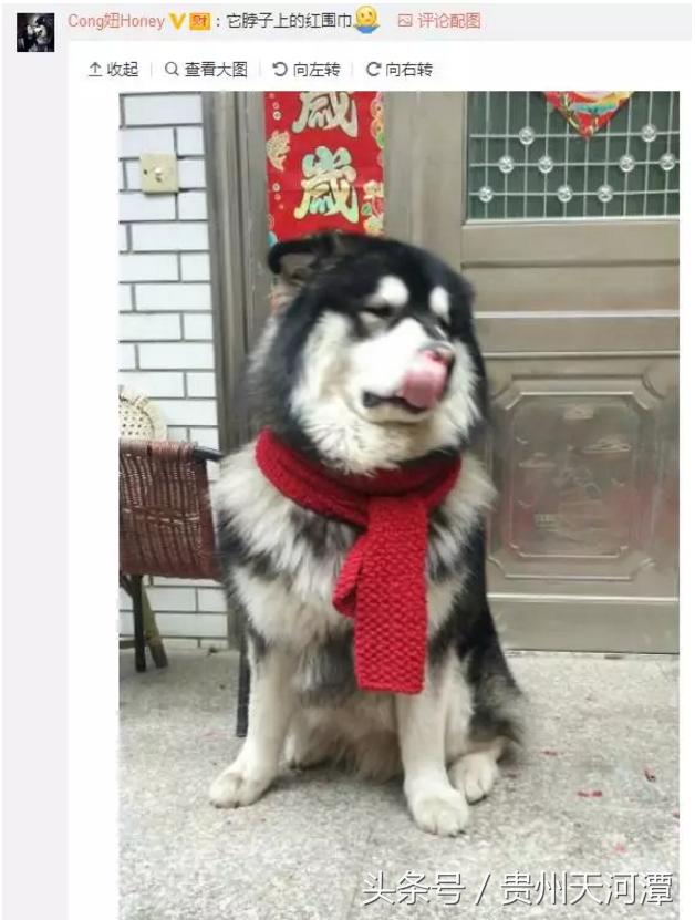 情人劫情人节,情人奇葩礼物