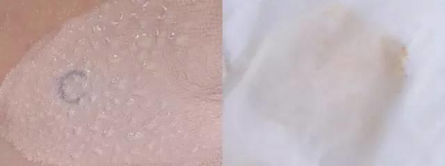 十大公认好用的气垫双层,最好的气垫是哪一款