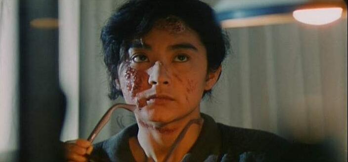 张柏芝林青霞年轻照片,张柏芝与林青霞的合影