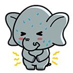 经常肚子疼应该挂什么科,肚子疼可能是哪些妇科病