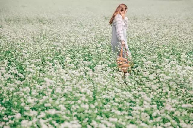 nars值得购买的单品,nars有什么单品值得买