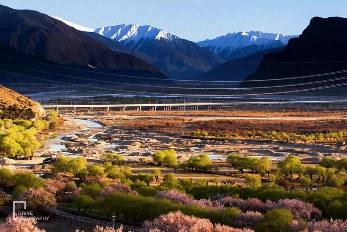 连联合国都赞不绝口的百里桃花，你真的不带她看一下吗？