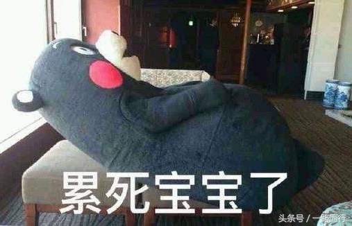 旅游如何做到互相尊重,旅游被区别对待