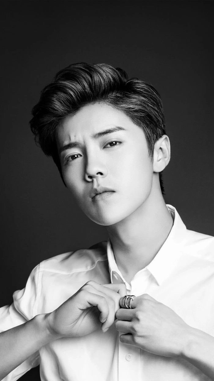 苹果11壁纸猫耳朵鹿晗,鹿晗图片高清壁纸全屏