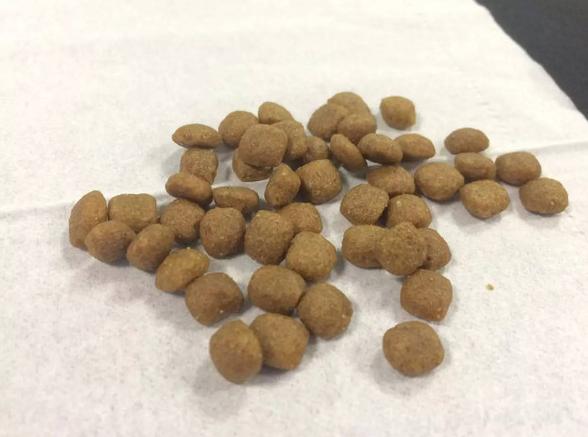 都说情人节吃狗粮，但是你知道狗粮到底什么味么？亲测体验！