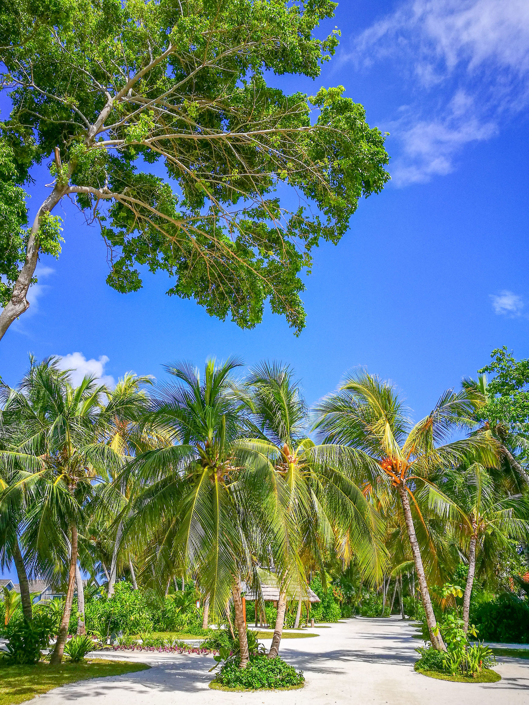 马尔代夫位于印度洋的世外桃源,马尔代夫坐落于印度洋的世外桃源