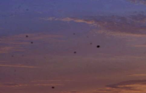 尼康100年,尼康10年前数码相机