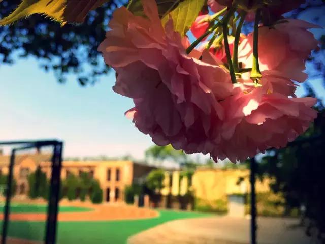 有所大学，叫标榜！逆天颜值碾压成都各大高校！