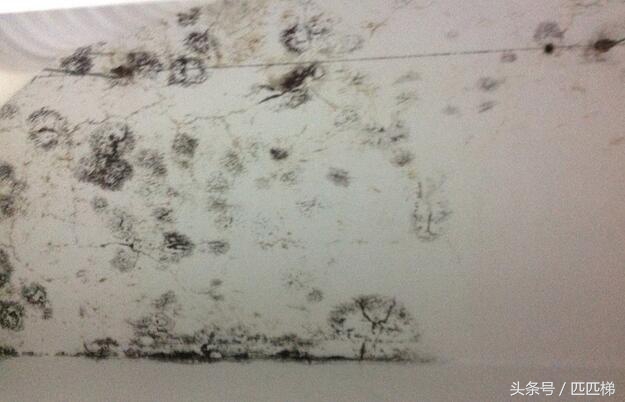 邻居家漏水修补方法,生活中一般出现漏水情况怎么维修