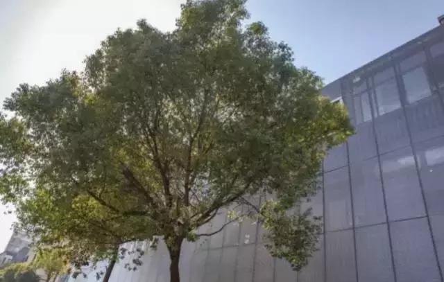 这真的是办公室吗?我不信!