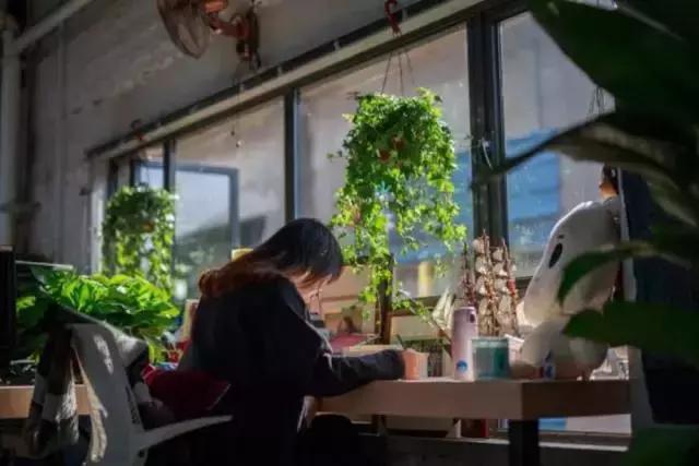 这真的是办公室吗?我不信!